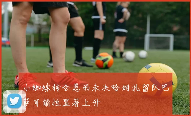 小蜘蛛转会悬而未决哈姆扎留队巴萨可能性显著上升