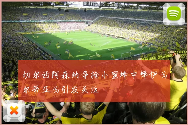 切尔西阿森纳争抢小蜜蜂中锋伊戈尔蒂亚戈引发关注